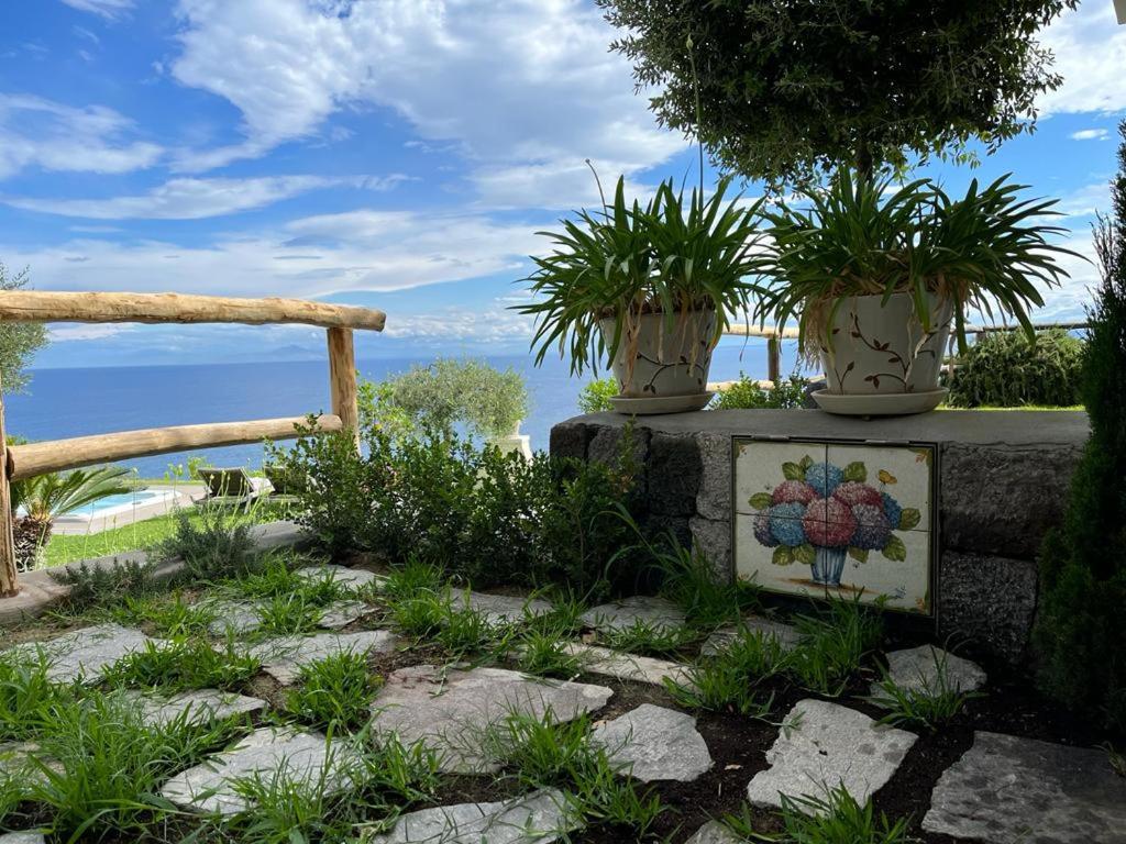 Agapanto Luxury Accommodation Casamicciola Terme Exteriör bild